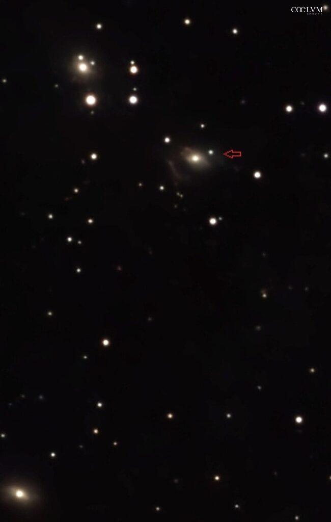 MRK 205 . Particolare di foto già inserita
