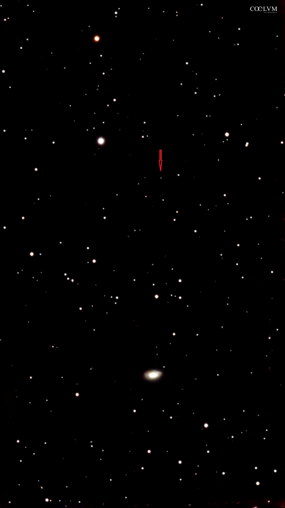 TONANZINTLA 618 ( Ton 618)