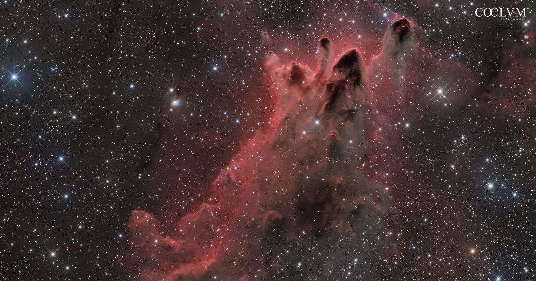 ShaRA#15 – Nuclei Cometari CG30, CG31 e CG38