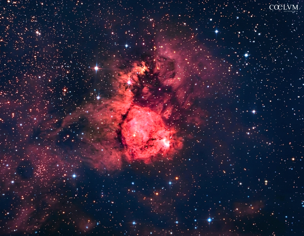 The Fish Haed…IC1795 un pesce Spaziale