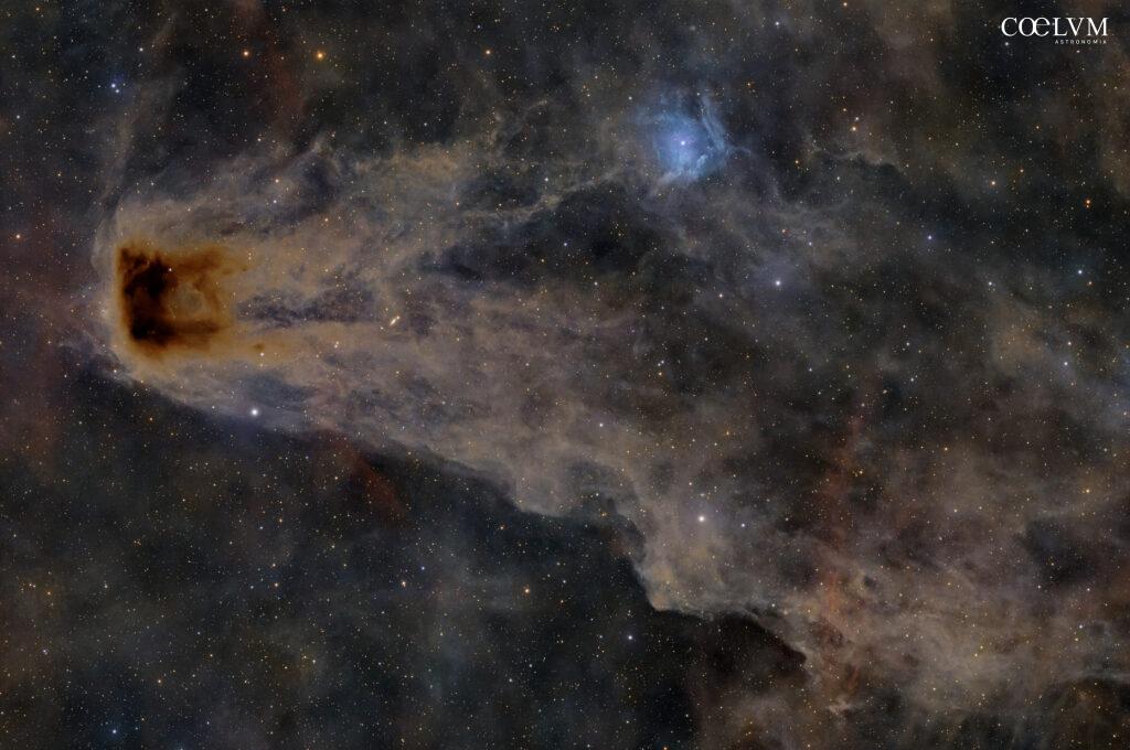 LDN 1221: nebulosa oscura “Proiettile” nel Cefeo