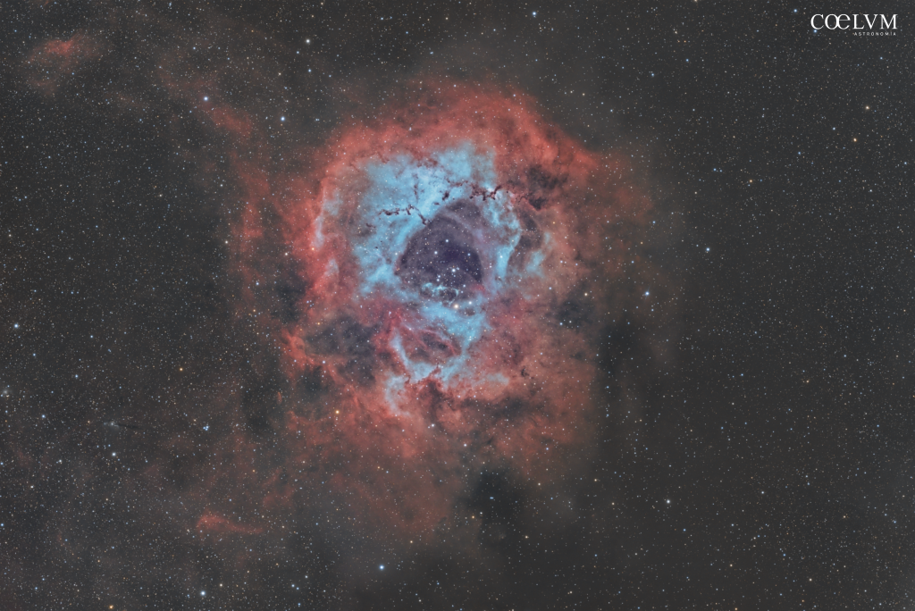 Nebulosa Rosetta: anatomia di un’esplosione stellare