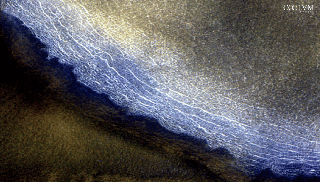 Polygonal terrain_cover