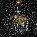 Foto del profilo di Gaia Laura Talone