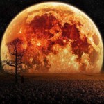 Foto del profilo di Armando Marozzi