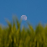 Foto del profilo di francesco benvenuti
