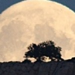Foto del profilo di Salvatore Ruiu