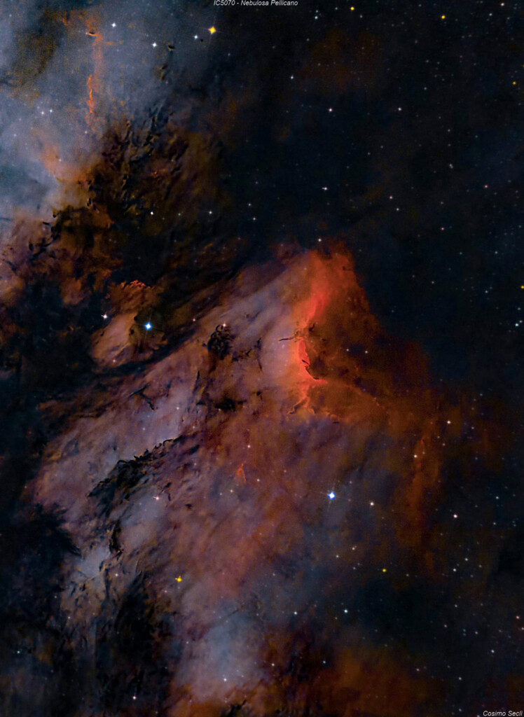 IC5070 – NEBULOSA PELLICANO