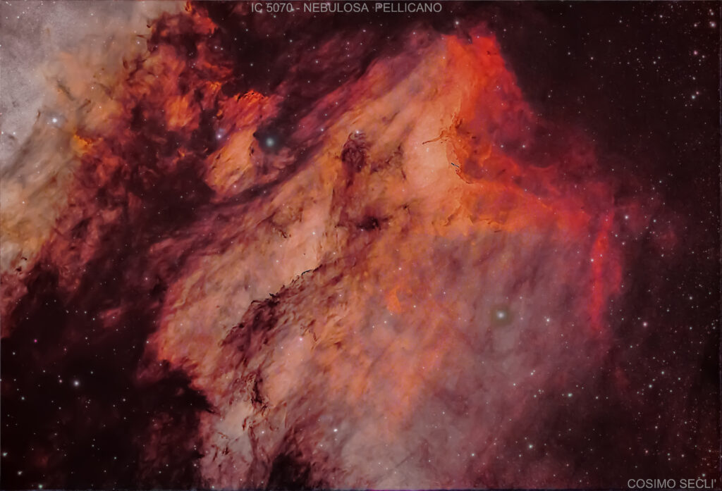 IC 5070 – NEBULOSA PELLICANO