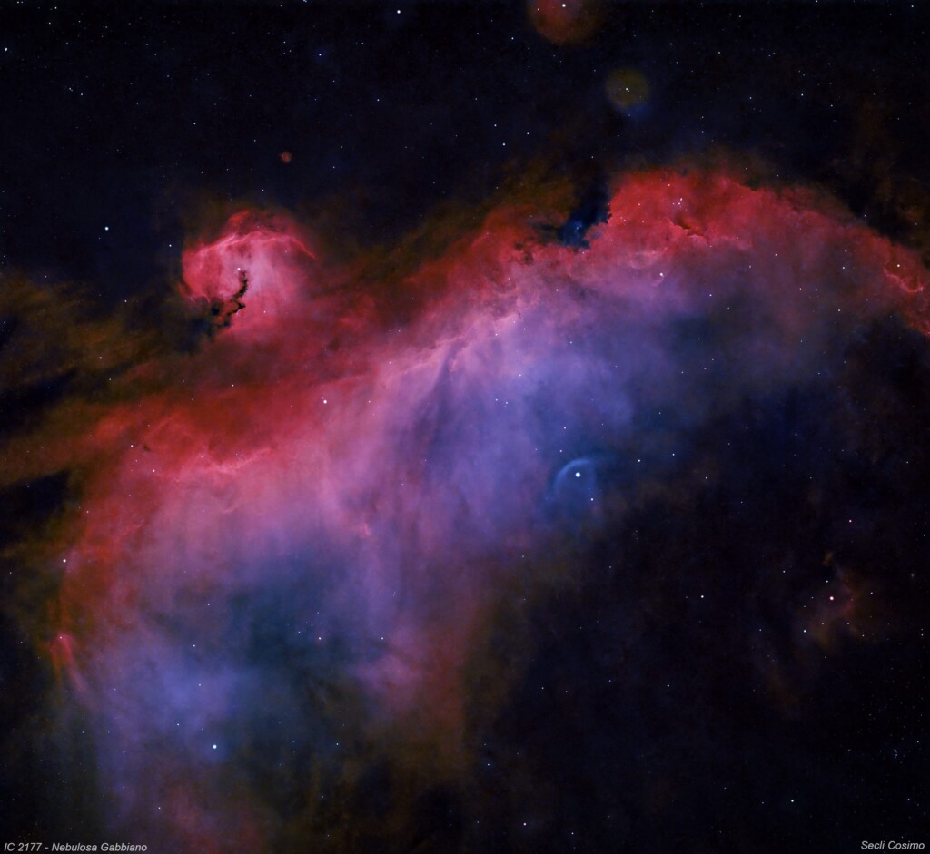 IC2177 – NEBULOSA GABBIANO
