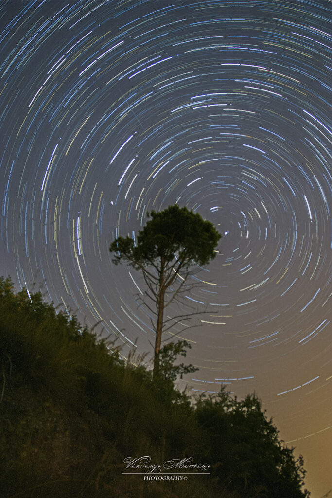 Startrails sull’albero