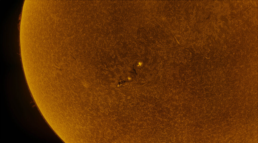 AR 2565 e 2567 in h-alpha (negativo)