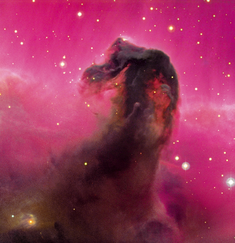 Nebulosa Testa di Cavallo