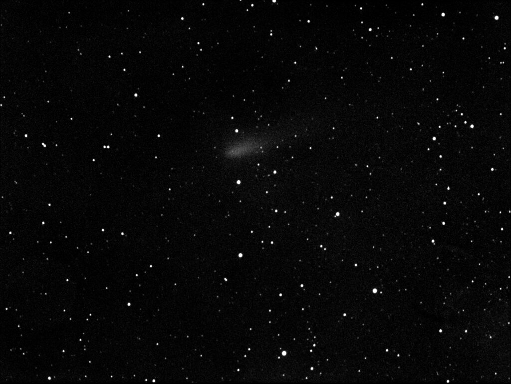 Cometa C /2020 F8 Swan
