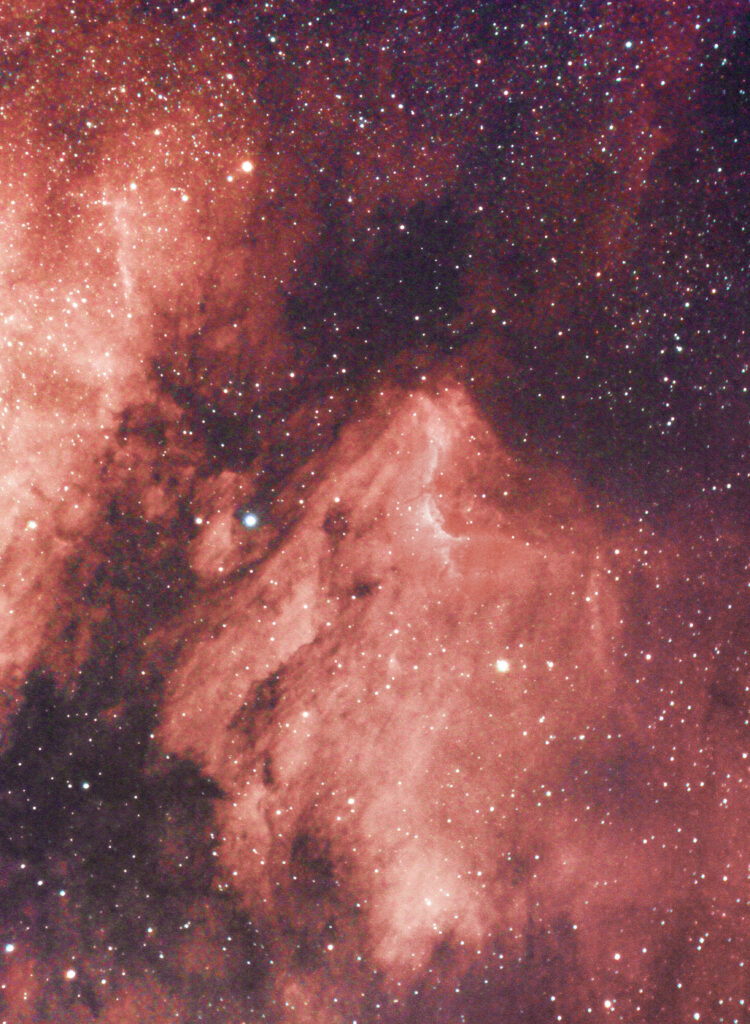 Pelican Nebula IC 5067