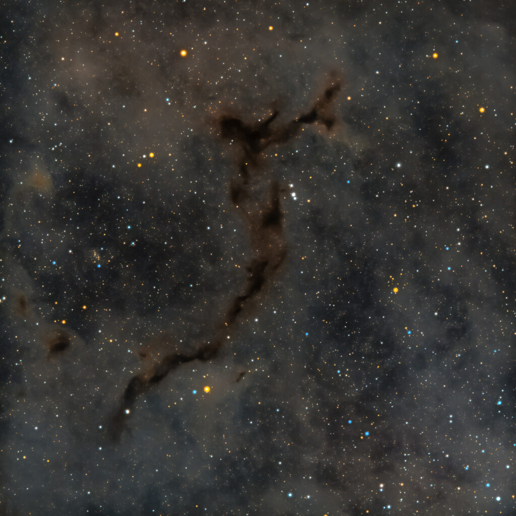 la nebulosa Cavalluccio Marino