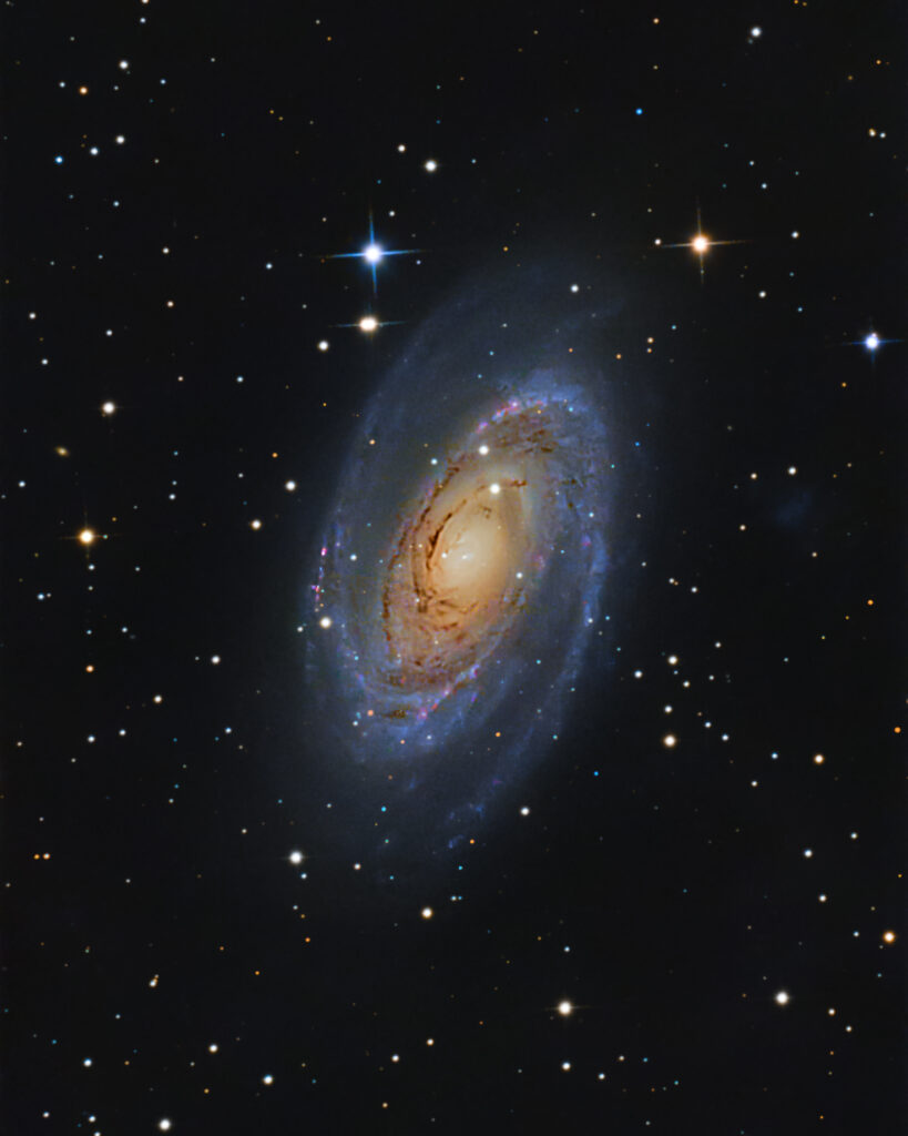 La galassia di Bode – M81