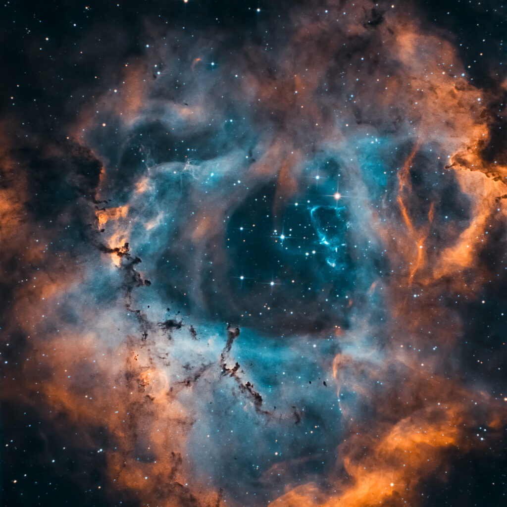 Uno zoo nella nebulosa Rosetta