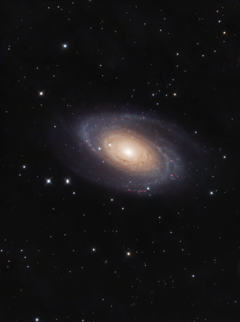 Galassia di Bode (M81)