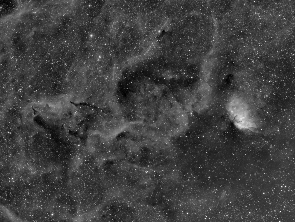 Tulip Nebula -Sh2-101