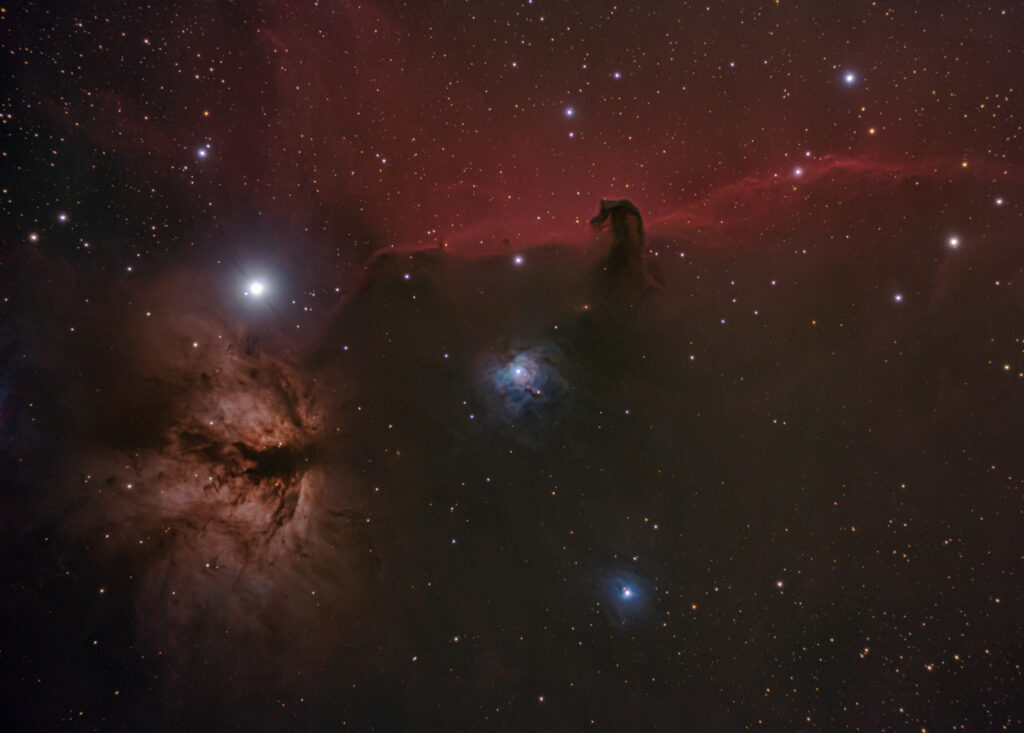 nebulosa testa di cavallo