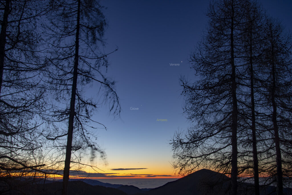 Alba con Giove, Venere e Antares tra gli alberi
