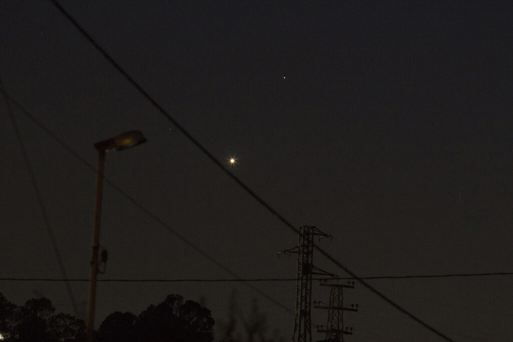 Venere_Spica