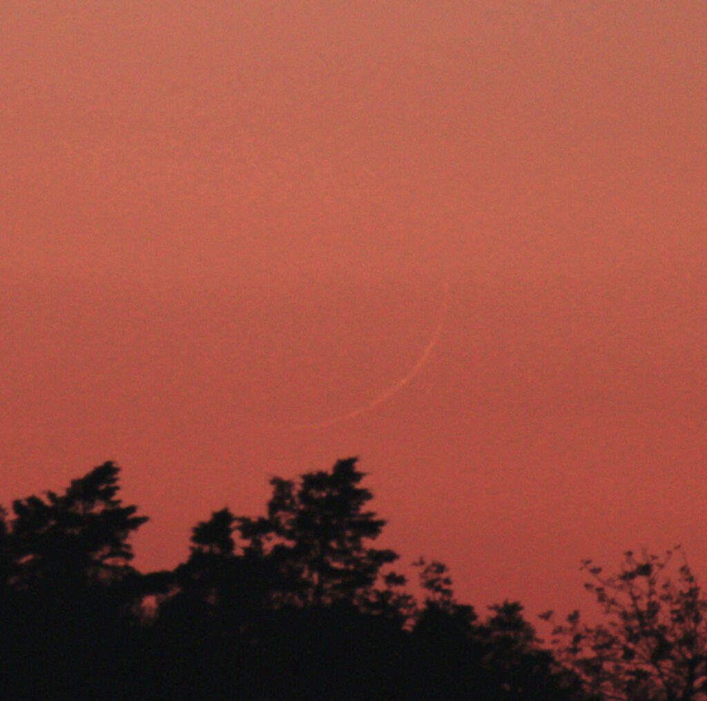 Falcetto crescente (crop)