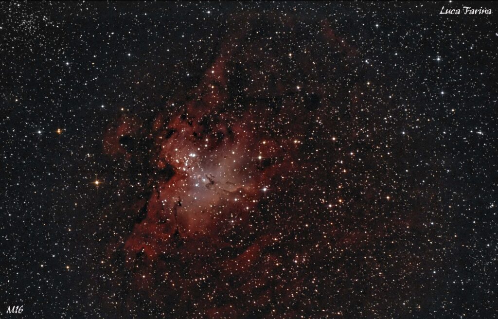 M16