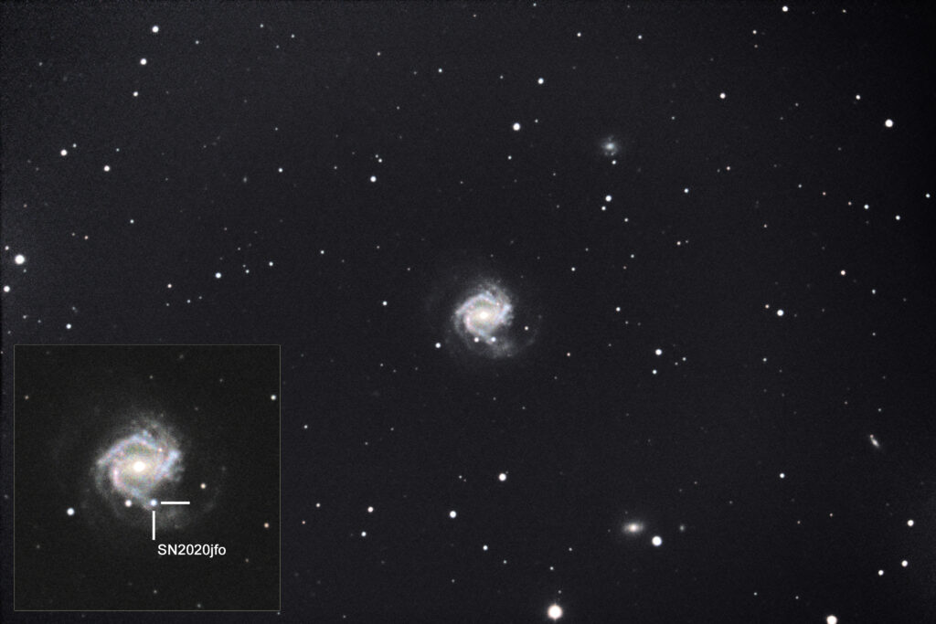 Supernova 2020jfo in M61