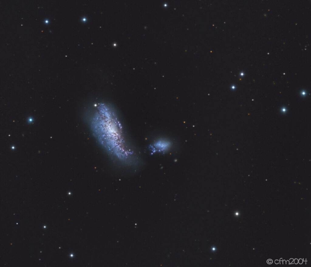 NGC4490 Coccon Galaxy