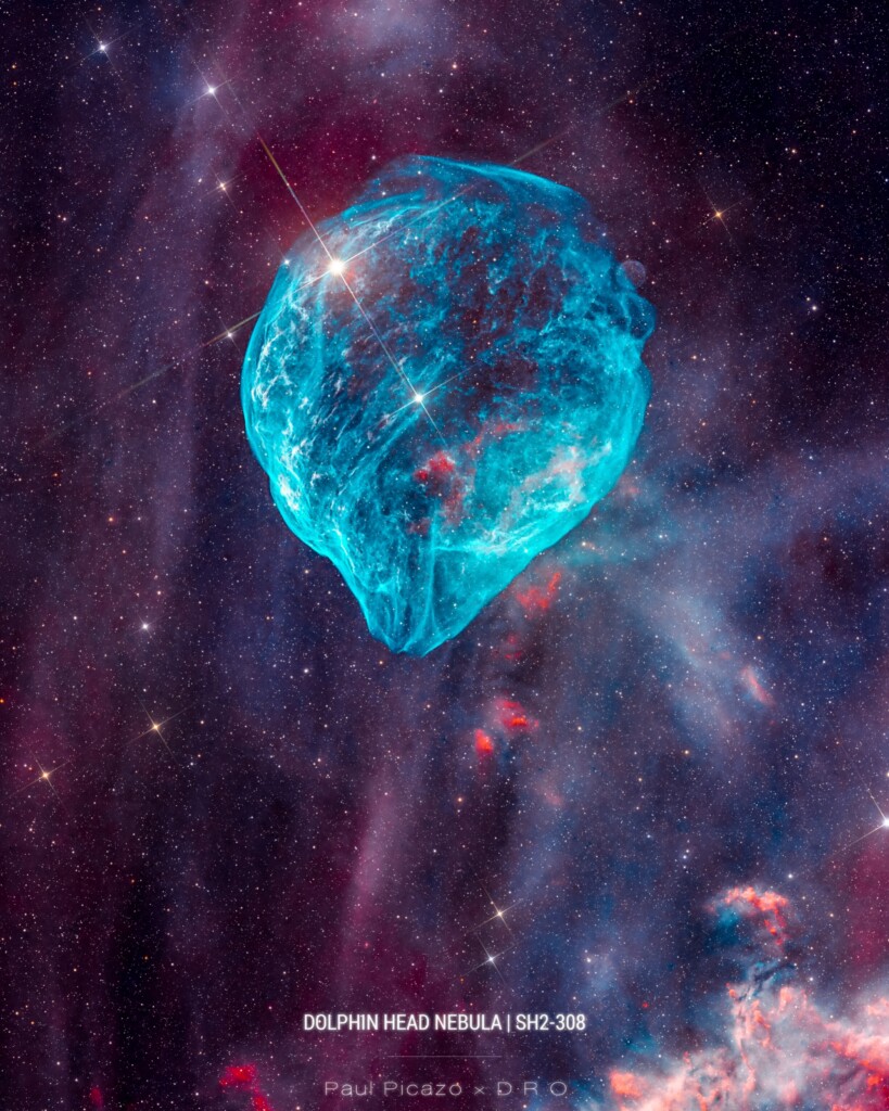 Nebulosa Testa di Delfino