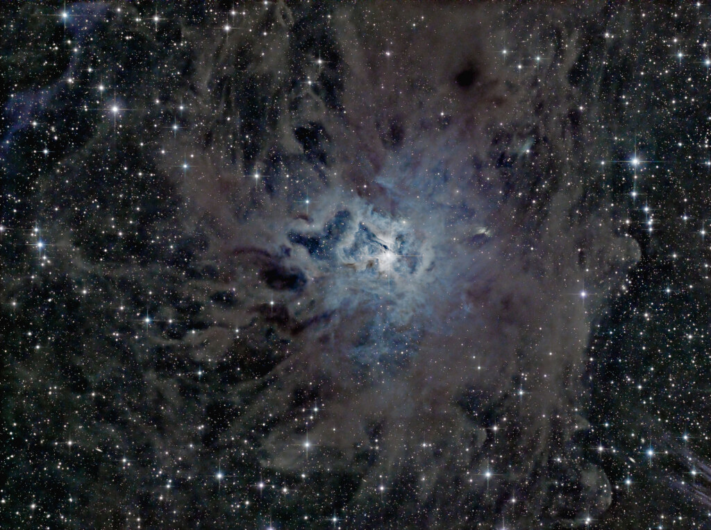 Iris Nebula
