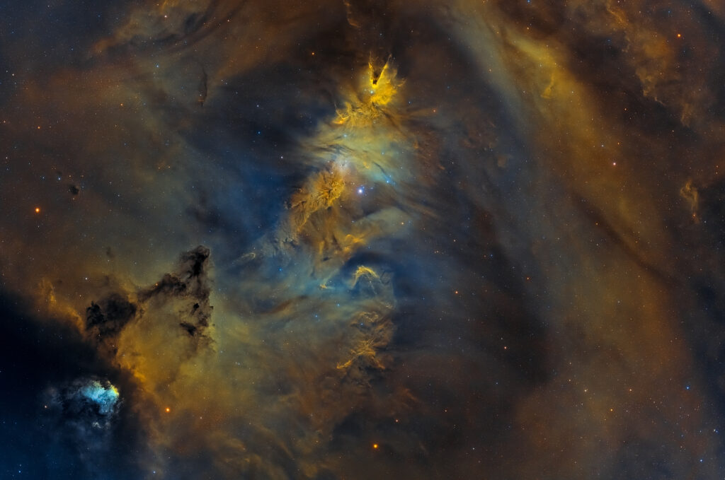 ammasso dell’albero di Natale e la nebulosa cono
