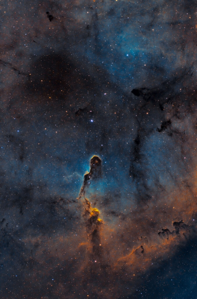 Nebulosa Proboscide di Elefante vdB142