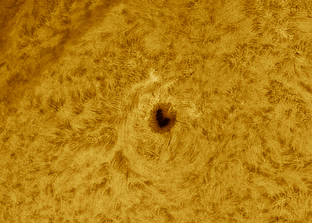 Un cuore nel Sole