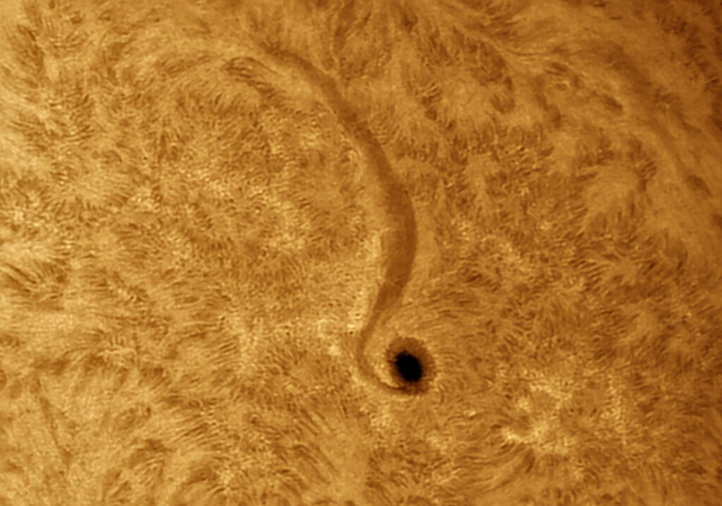 Una nota musicale nel Sole