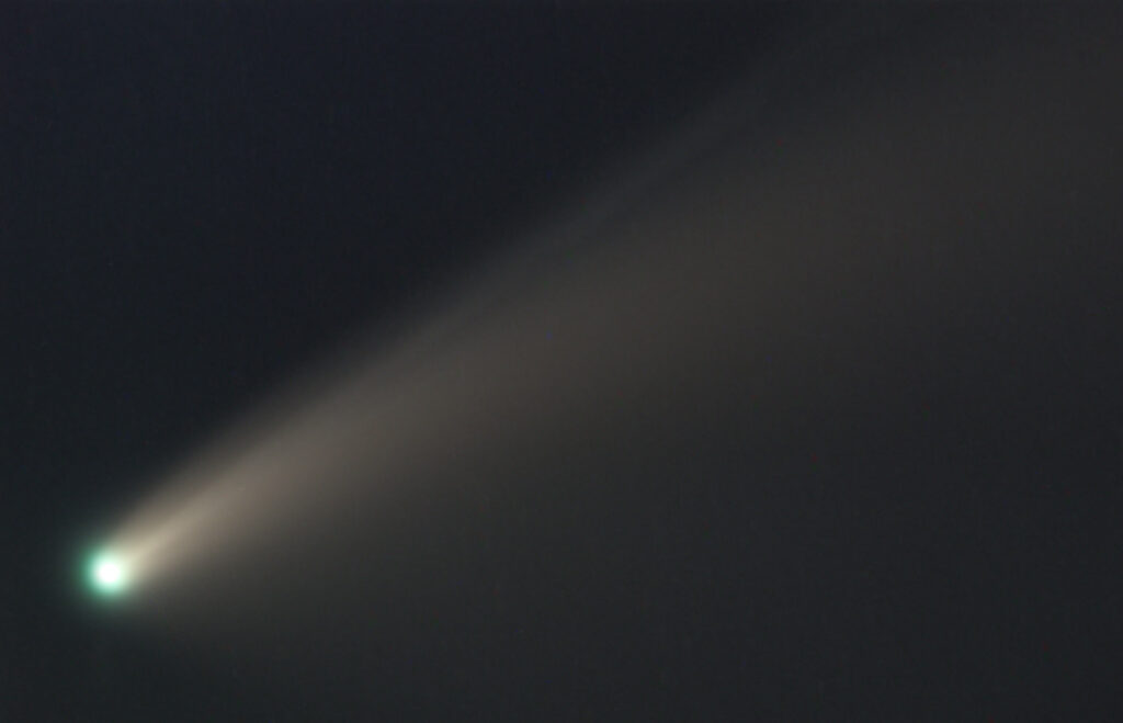 COMETA C20202 F3
