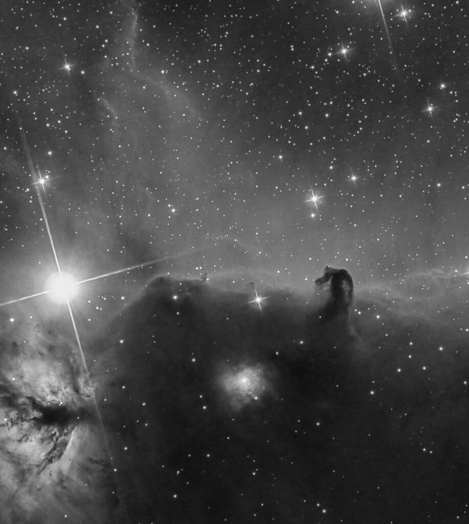 Nebulosa Testa di Cavallo in bianco e nero