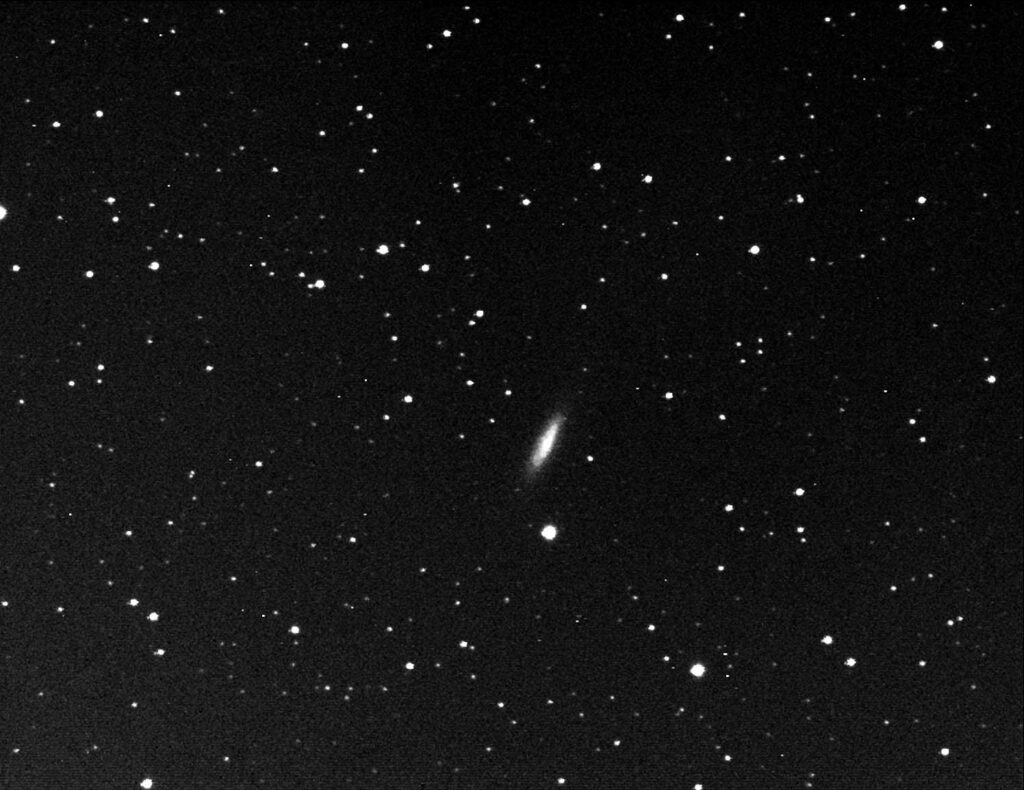 Ngc6503