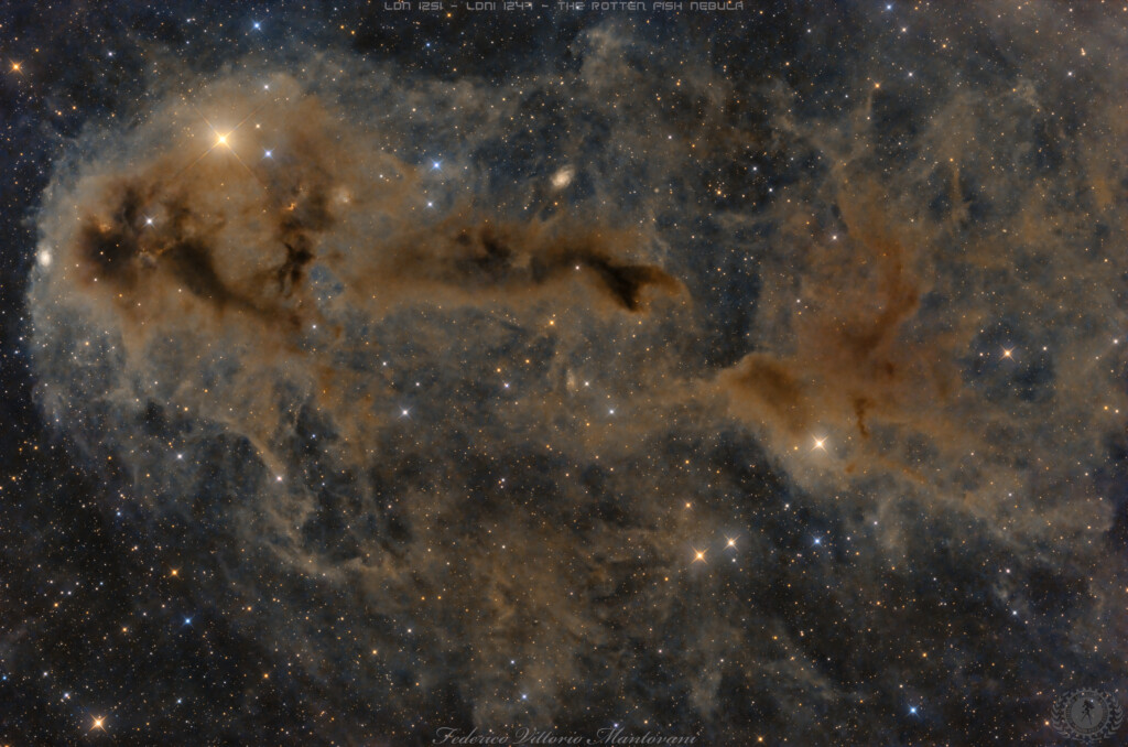 LDN 1251 – LDN 1247  THE ROTTEN FISH NEBULA
