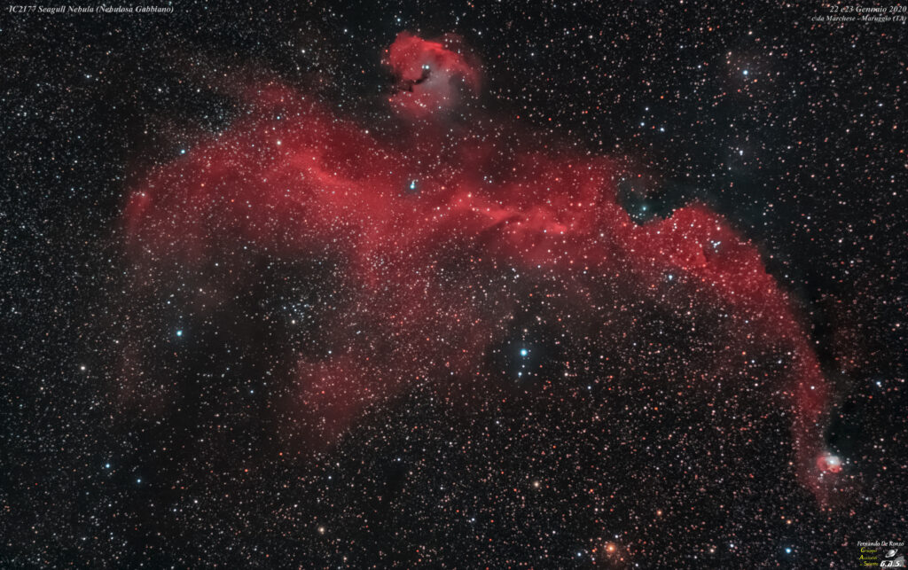 IC2177 Seagull Nebula (Nebulosa Gabbiano)