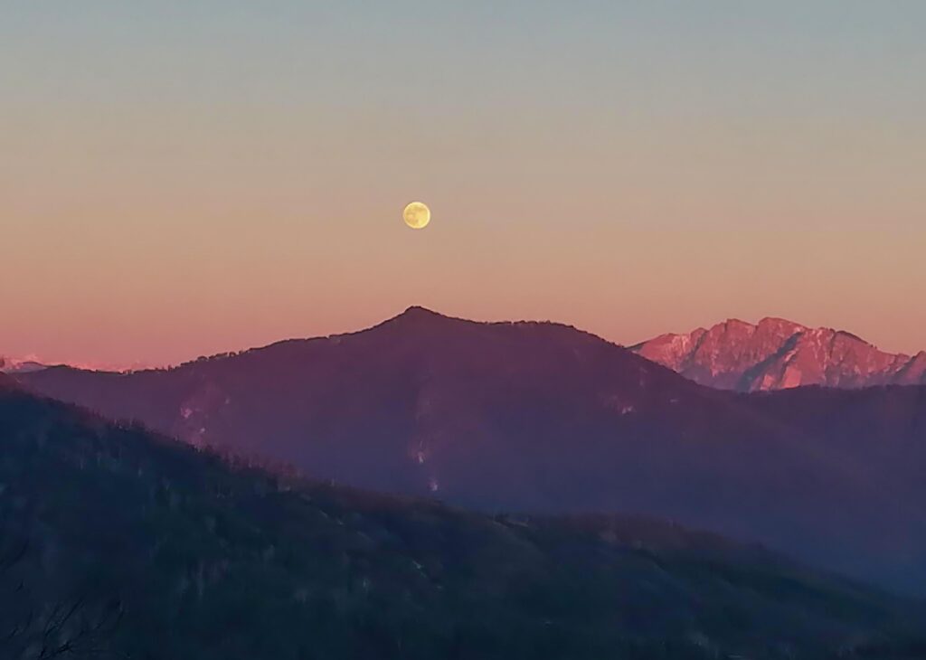 Stregata dalla Luna