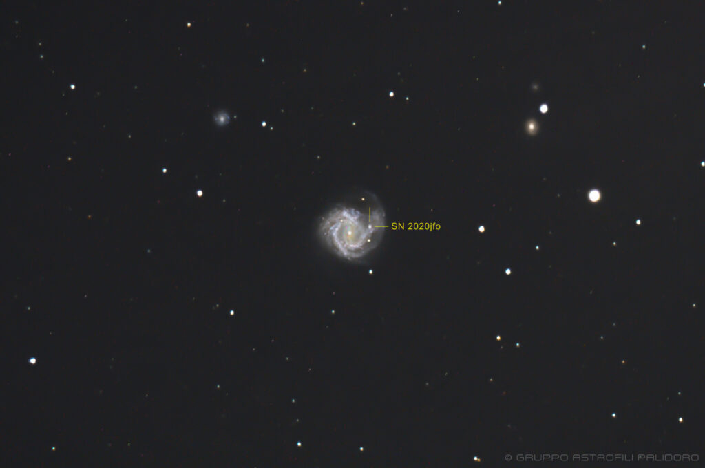 Supernova 2020jfo in M61