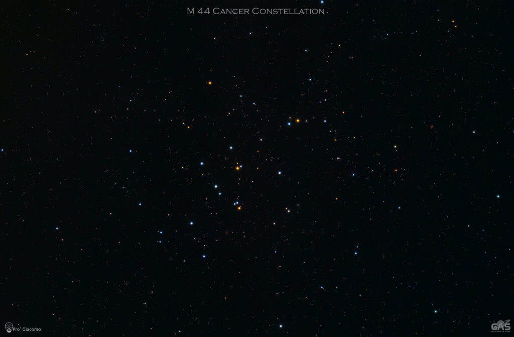 M 44