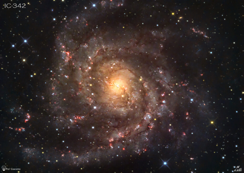 IC 342