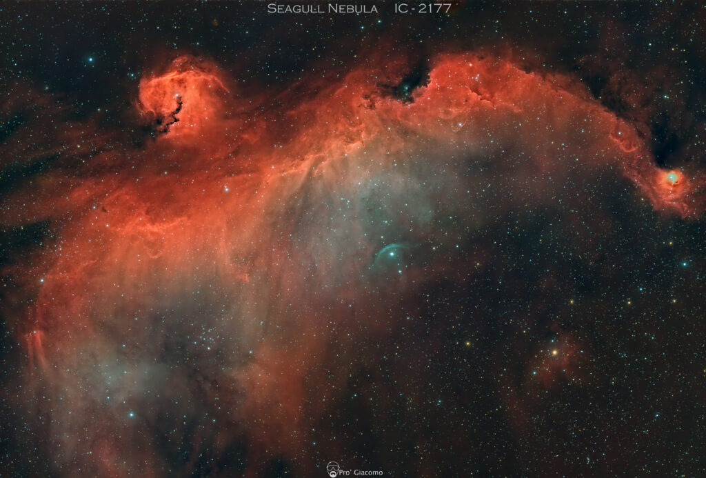 seagull nebula IC 2177