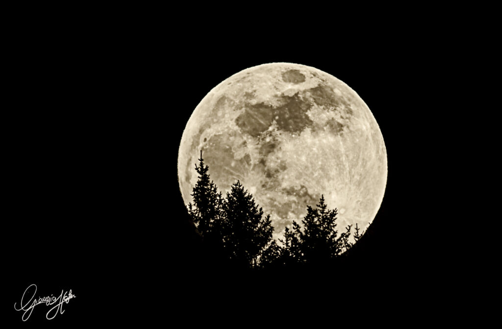 Luna piena