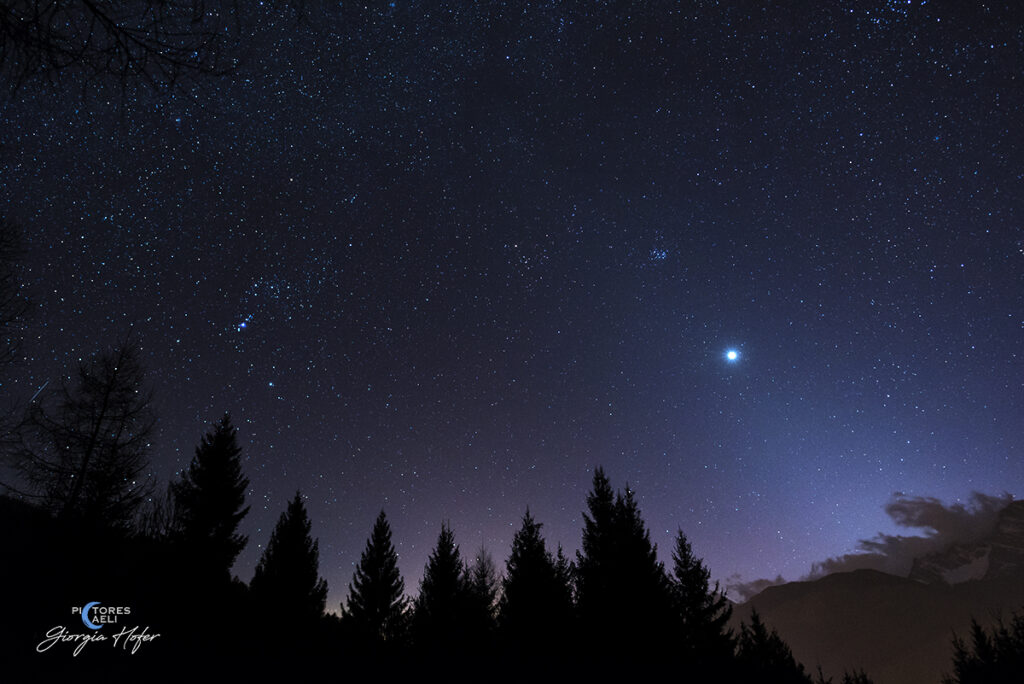 Venere e Luce zodiacale dal giardino di casa