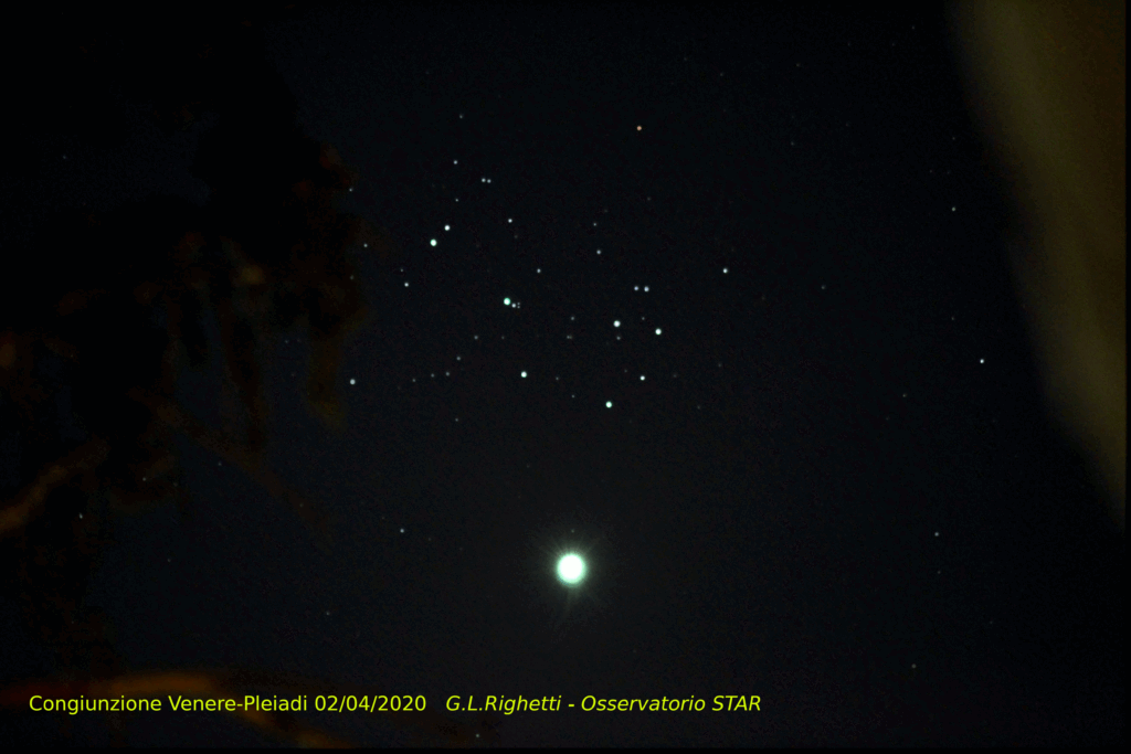 Venere e Pleiadi in congiunzione sbucano tra gli alberi